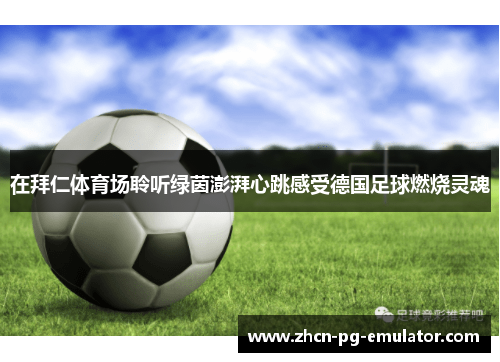 在拜仁体育场聆听绿茵澎湃心跳感受德国足球燃烧灵魂