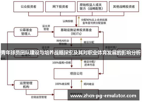 青年球员团队建设与培养战略探索及其对职业体育发展的影响分析